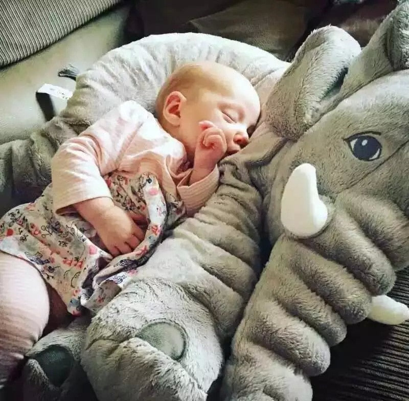 Elephant Plush Pillow