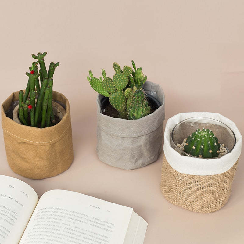 Creative Desktop Plant Bag