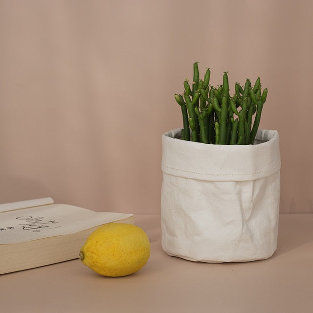 Creative Desktop Plant Bag