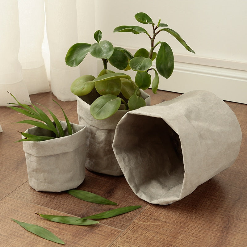 Creative Desktop Plant Bag